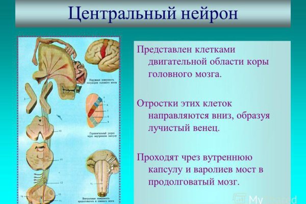 Кракен адрес тор